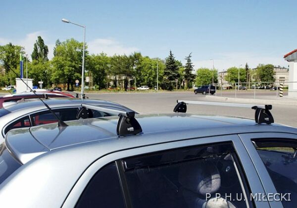 Diheng baga�nik bazowy D 2000 REL