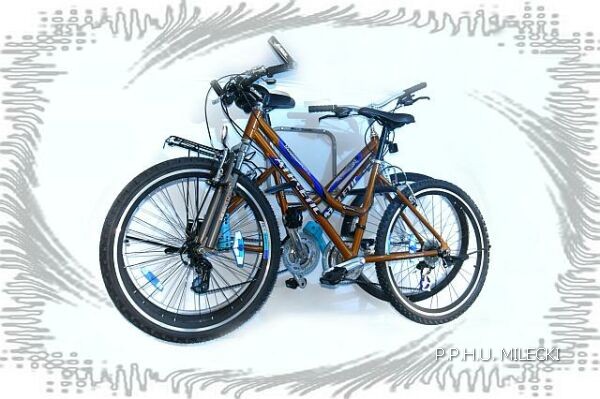 Wieszak na rowery Thule 9771