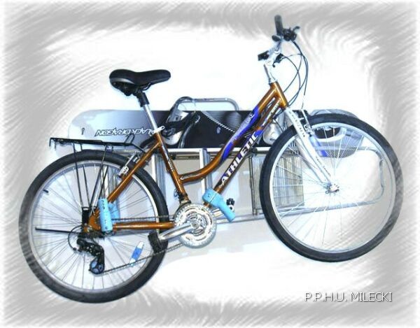 Wieszak na rowery Thule 9771