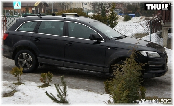 Thule Fixpoint XT 753