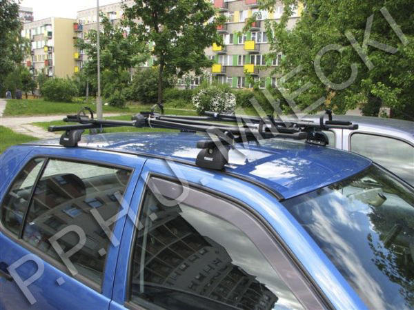 Thule Fixpoint XT 753