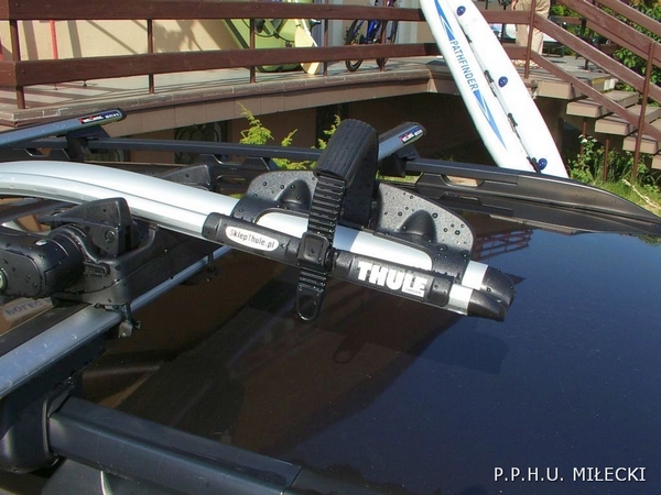 thule ProRide
591