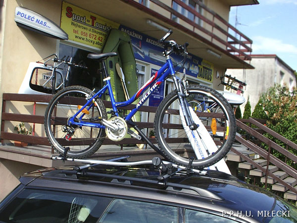 thule ProRide
591