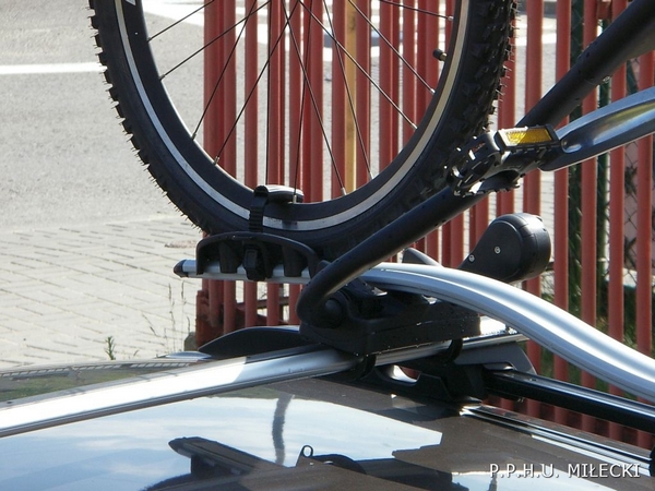 thule ProRide
591