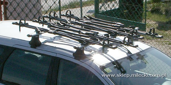 Thule Freeride