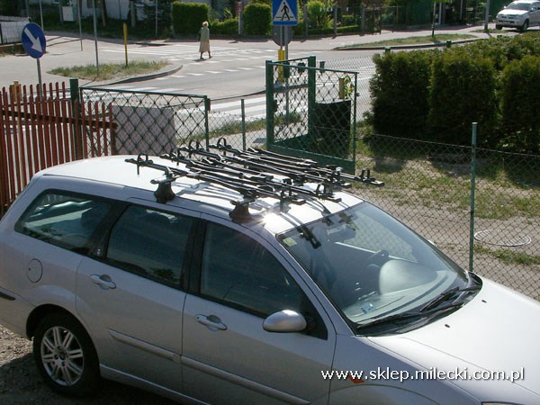 FreeRide