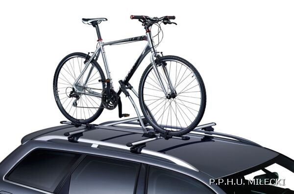 FreeRide
530